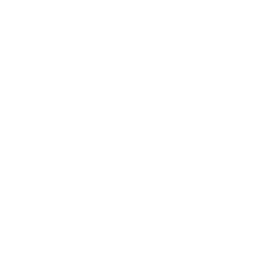Apple : Brand Short Description Type Here.